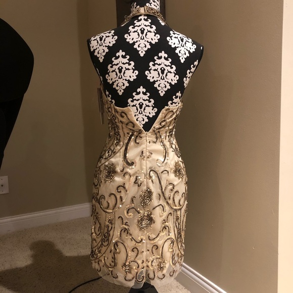 Gorgeous Shail K. Gold & Nude Dress - Picture 2 of 2